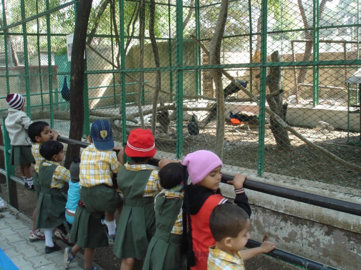 Poveda Kids -Visit to the Zoo
